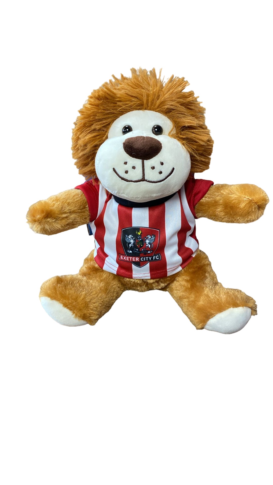 ECFC Mascot Lion